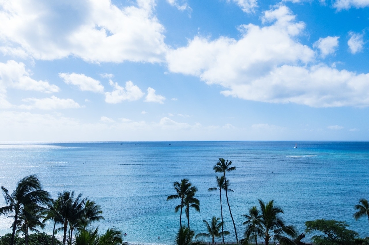 f:id:natsuhaze:20190708010639j:plain f:id:natsuhaze:20190708010639j:plain
