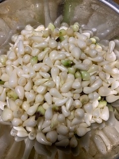 f:id:natsuhaze:20190710075816j:plain f:id:natsuhaze:20190710075816j:plain