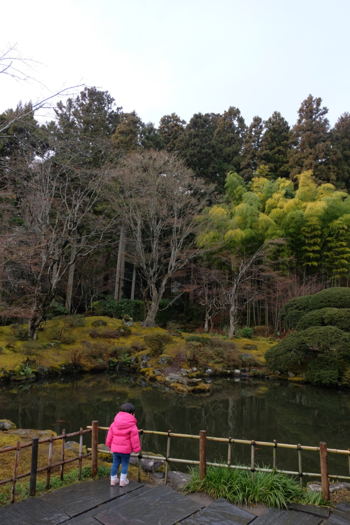 f:id:natsuiromikan:20170116182404j:plain