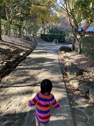 f:id:natsukashino:20211205221832j:image f:id:natsukashino:20211205221832j:image