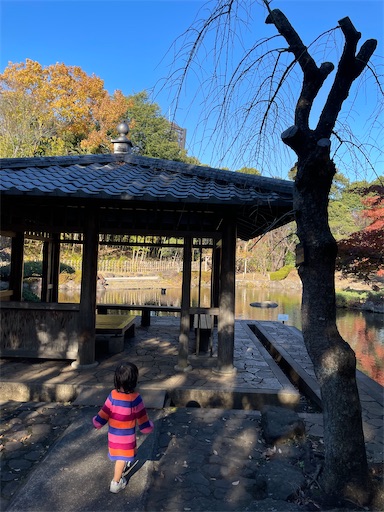 f:id:natsukashino:20211205221834j:image f:id:natsukashino:20211205221834j:image