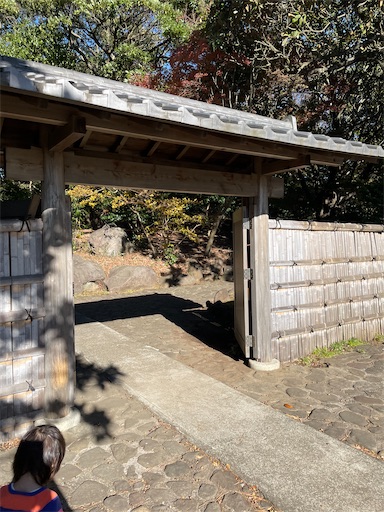 f:id:natsukashino:20211205221836j:image f:id:natsukashino:20211205221836j:image