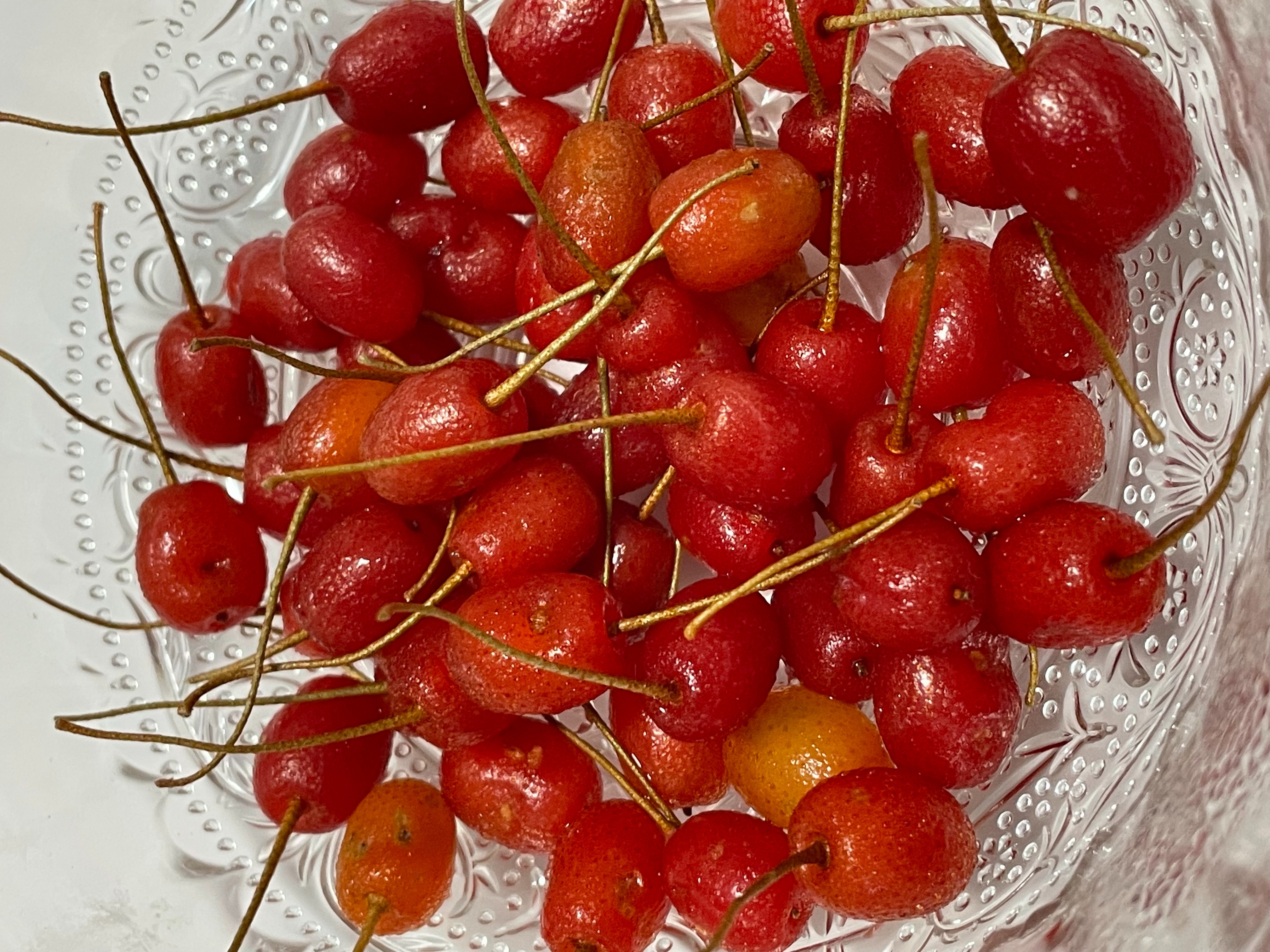 晩春の味覚グミの実を食す ド素人のお小遣い投資