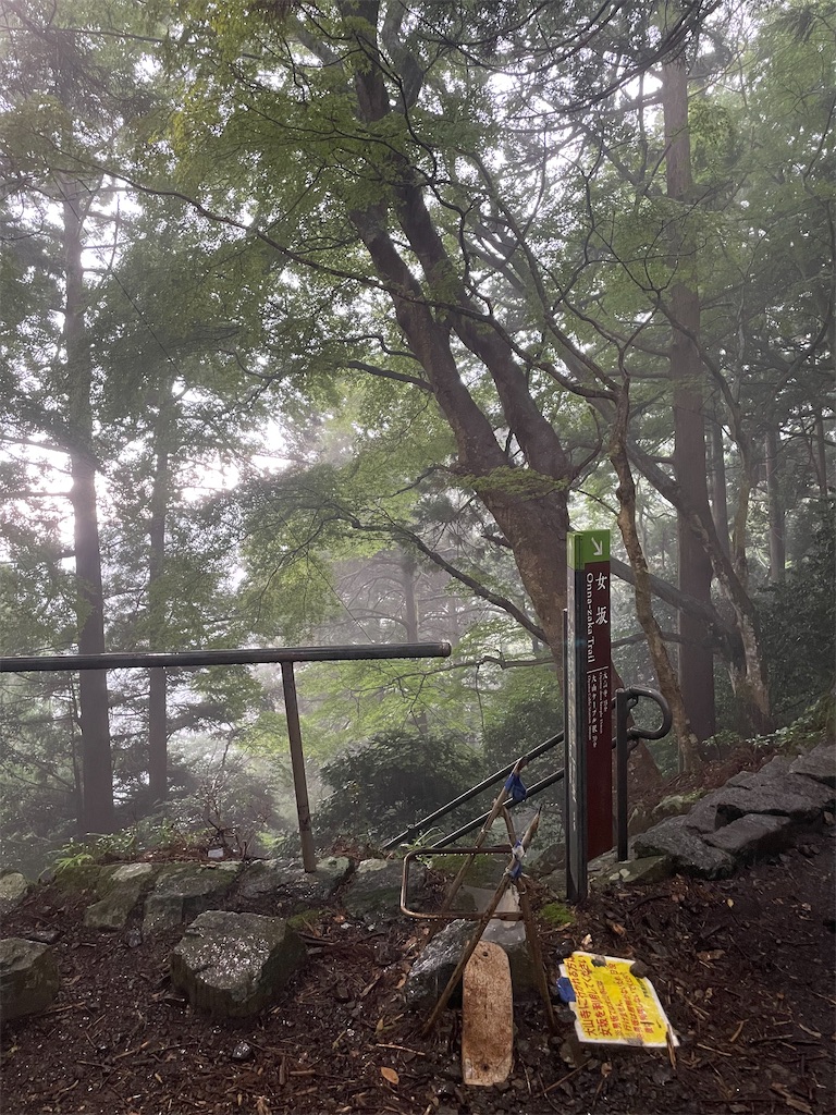 f:id:natsukashino:20260718140536j:image f:id:natsukashino:20260718140536j:image