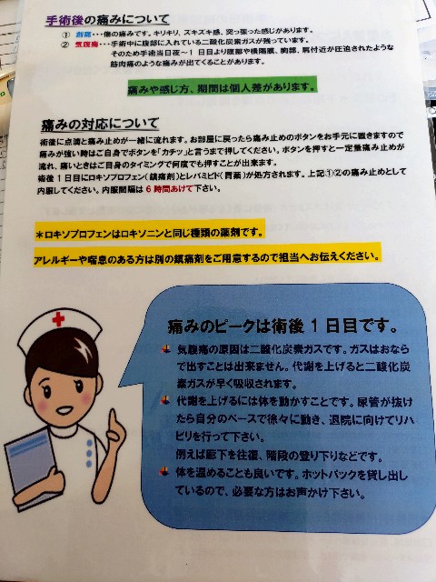 f:id:natsuki365:20240908145434j:image f:id:natsuki365:20240908145434j:image