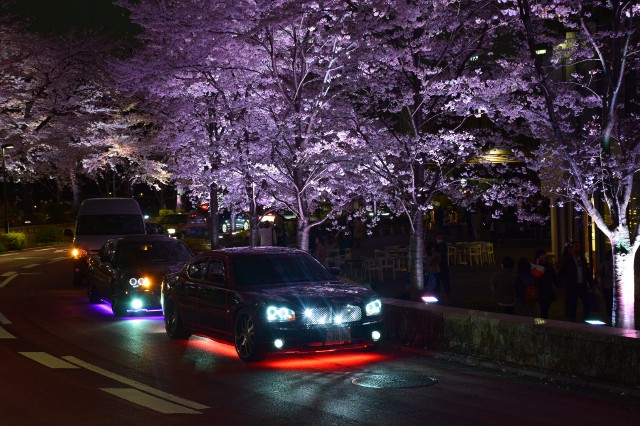 f:id:natsuki5555:20190404134949j:image