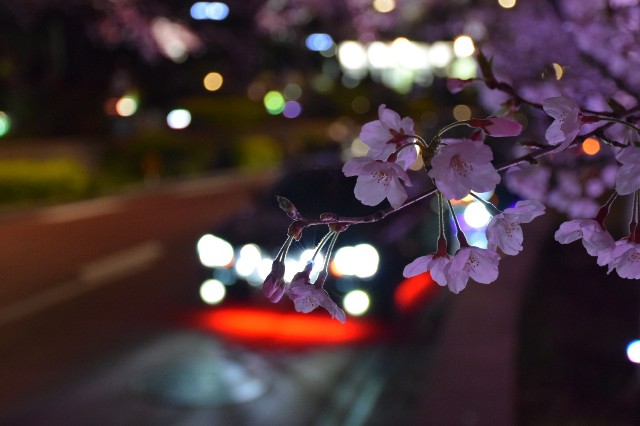 f:id:natsuki5555:20190423141110j:image