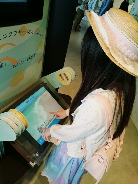 f:id:natsuki_kasu:20170317221258j:image f:id:natsuki_kasu:20170317221258j:image