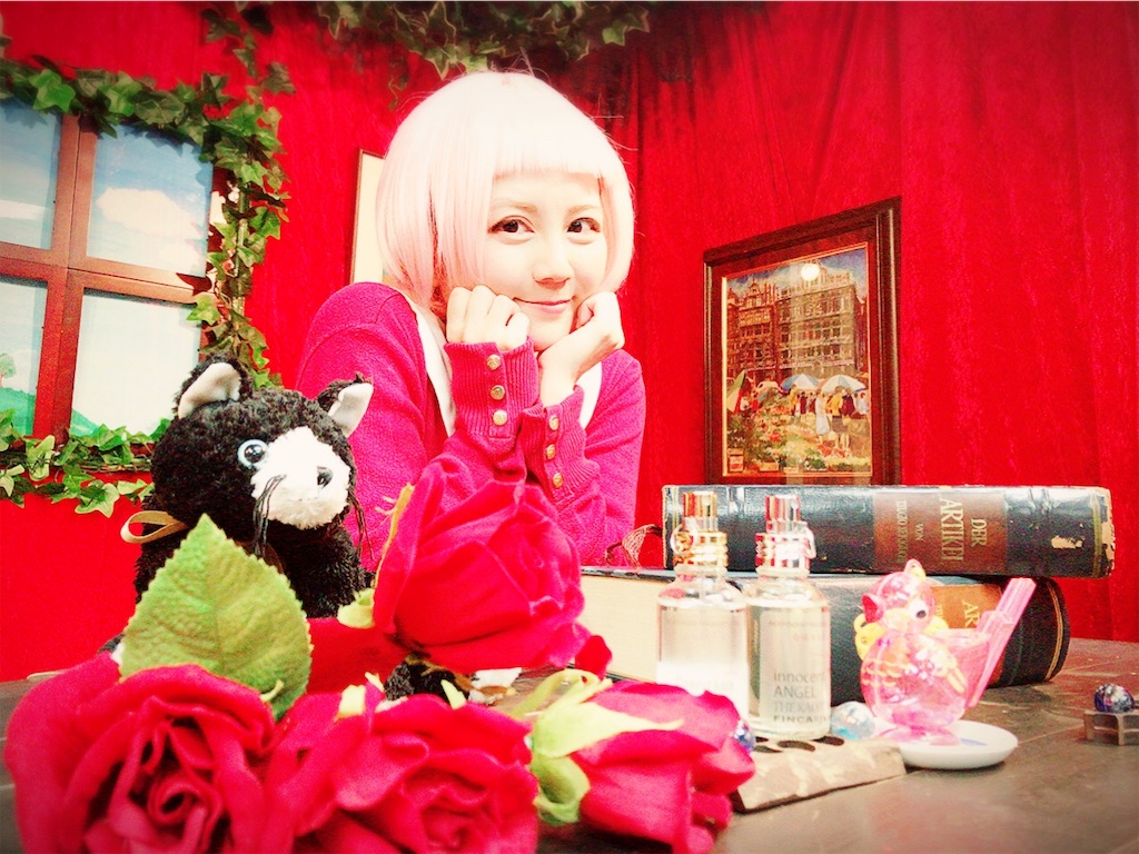 f:id:natsukigojo:20181229152608j:image
