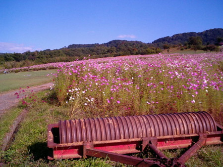 f:id:natsukikenji:20081002141118j:image