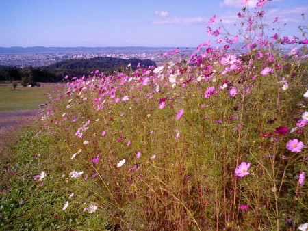 f:id:natsukikenji:20081002141524j:image