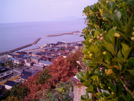 f:id:natsukikenji:20081020151357j:image