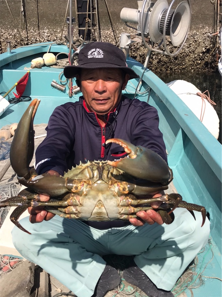 ノコギリガザミとは 動植物の人気 最新記事を集めました はてな