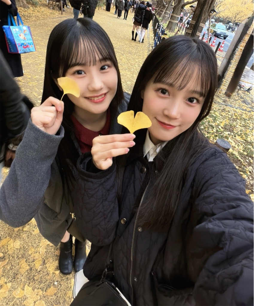 f:id:natsukirinkun:20251127062257j:image