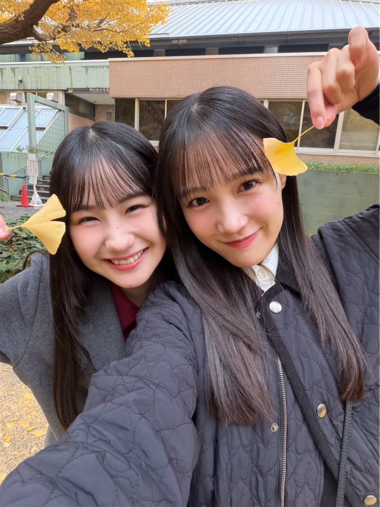 f:id:natsukirinkun:20251127062301j:image