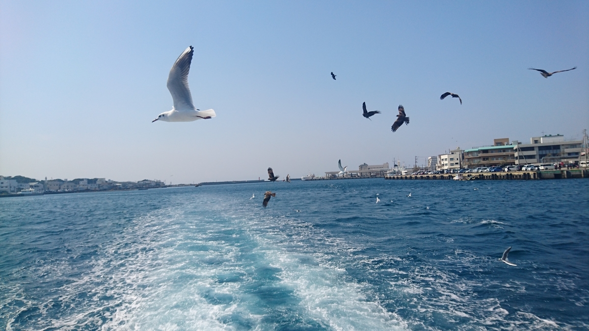 f:id:natsukiss:20190505005328j:plain f:id:natsukiss:20190505005328j:plain