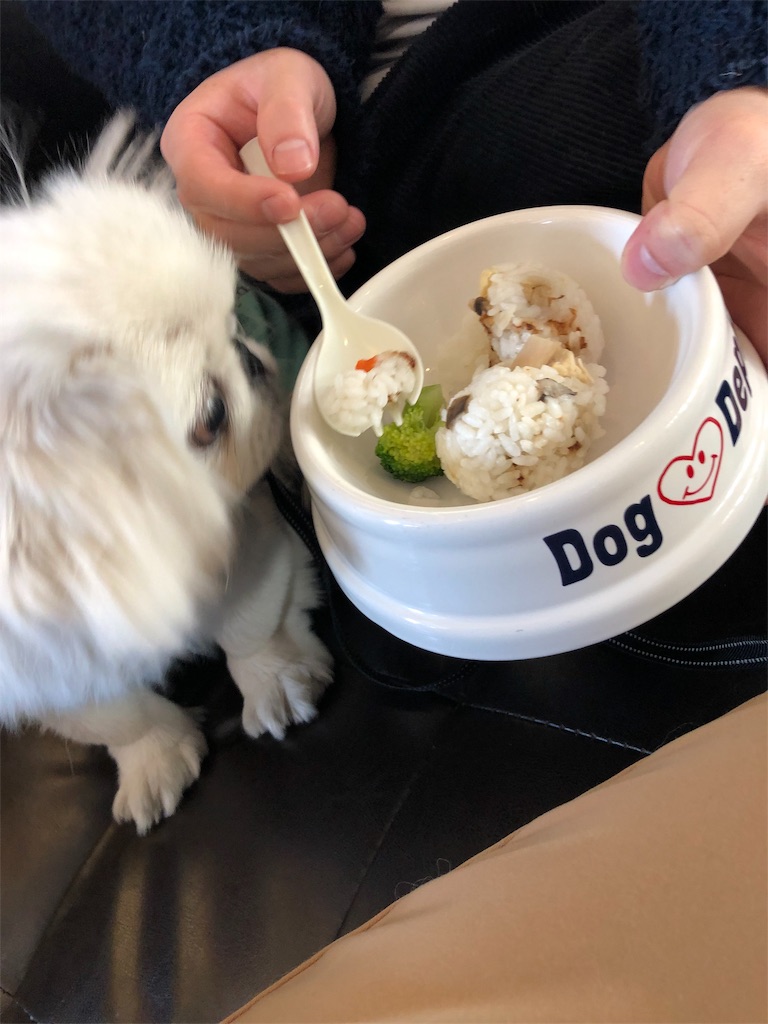f:id:natsuko-h-88:20190327165204j:image f:id:natsuko-h-88:20190327165204j:image