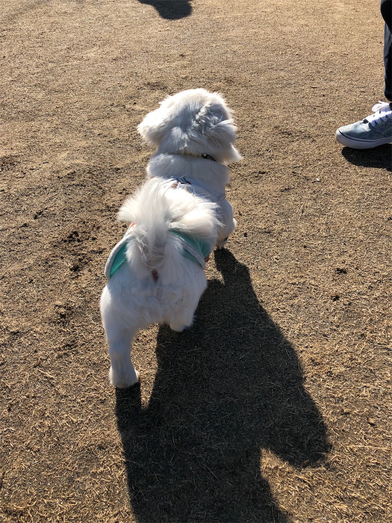 f:id:natsuko-h-88:20190501223657j:image f:id:natsuko-h-88:20190501223657j:image
