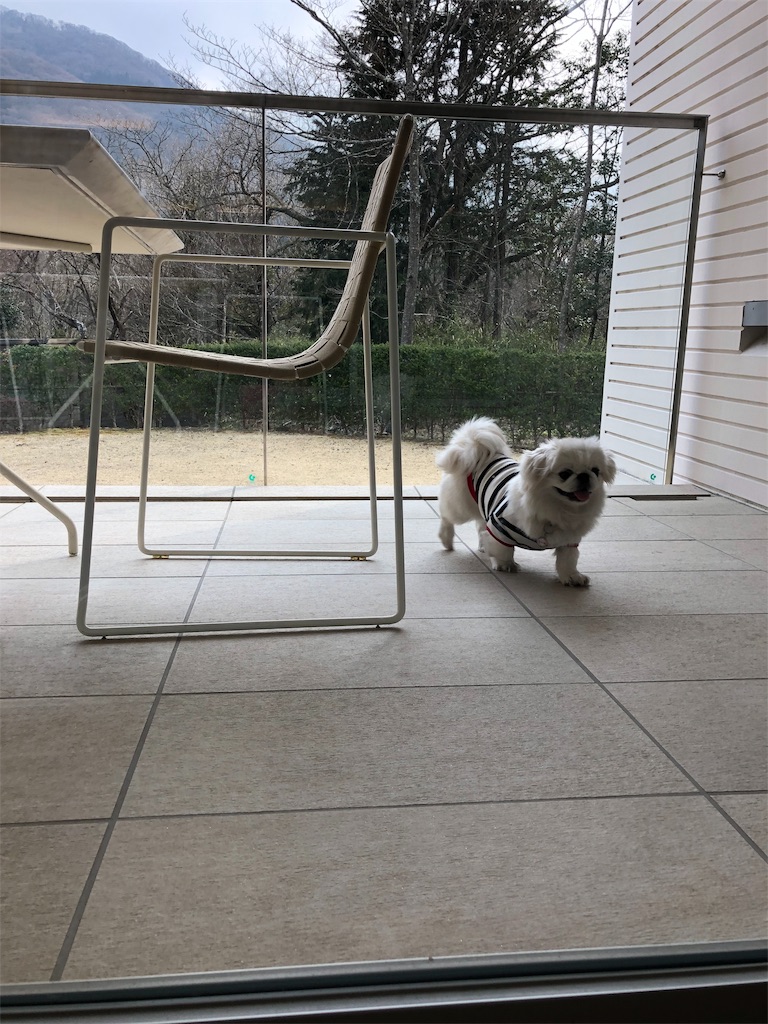 f:id:natsuko-h-88:20190508174927j:image f:id:natsuko-h-88:20190508174927j:image