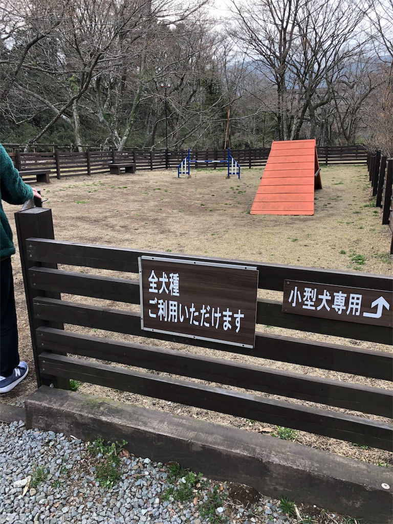 f:id:natsuko-h-88:20190508175115j:image f:id:natsuko-h-88:20190508175115j:image