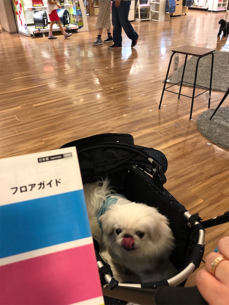 f:id:natsuko-h-88:20190515083130j:image f:id:natsuko-h-88:20190515083130j:image
