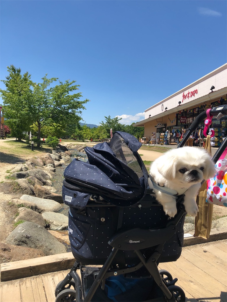 f:id:natsuko-h-88:20190624175848j:image f:id:natsuko-h-88:20190624175848j:image