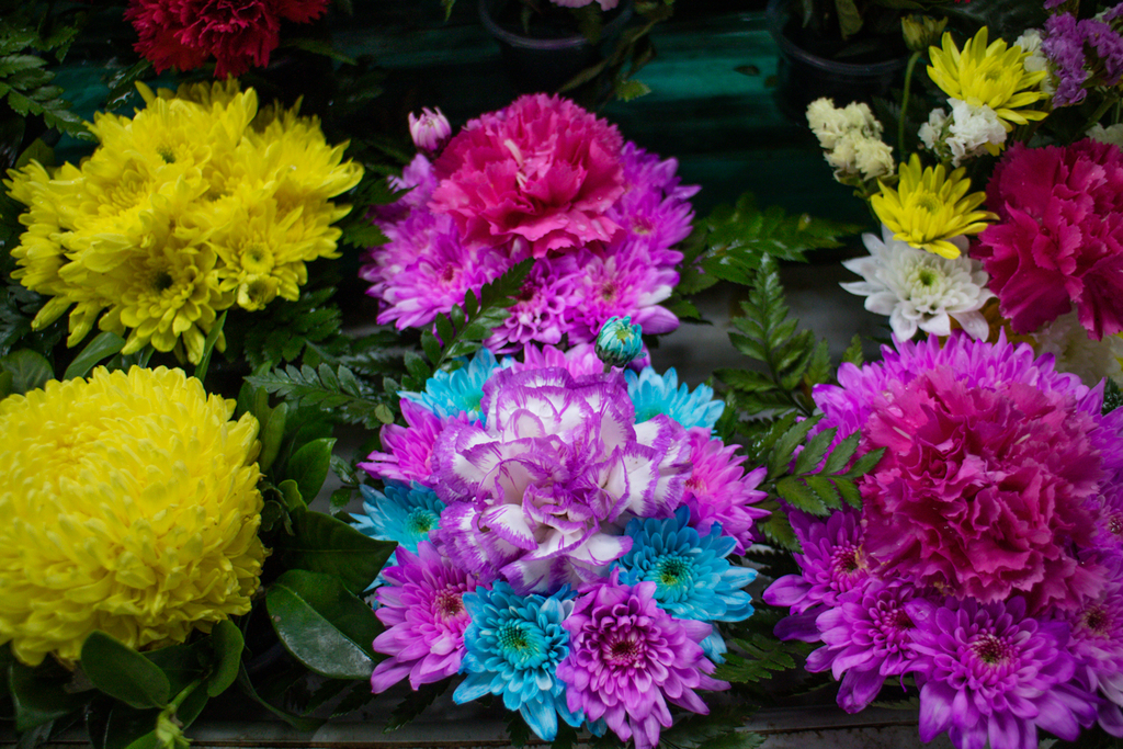 f:id:natsume2018:20190224004825j:plain f:id:natsume2018:20190224004825j:plain