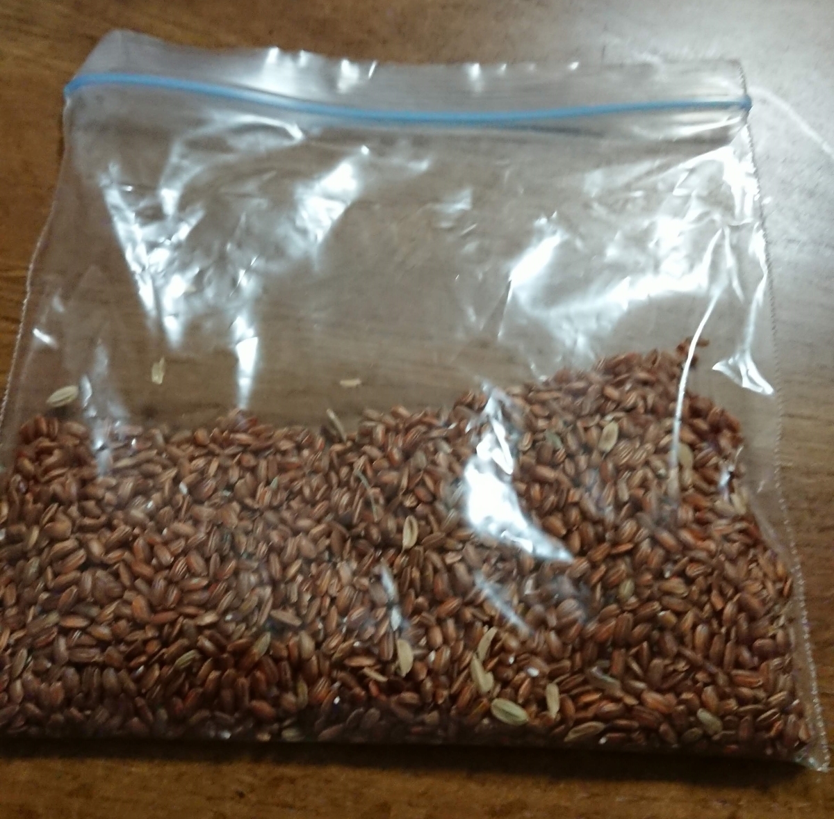 f:id:natsumedeus:20190717032942j:plain