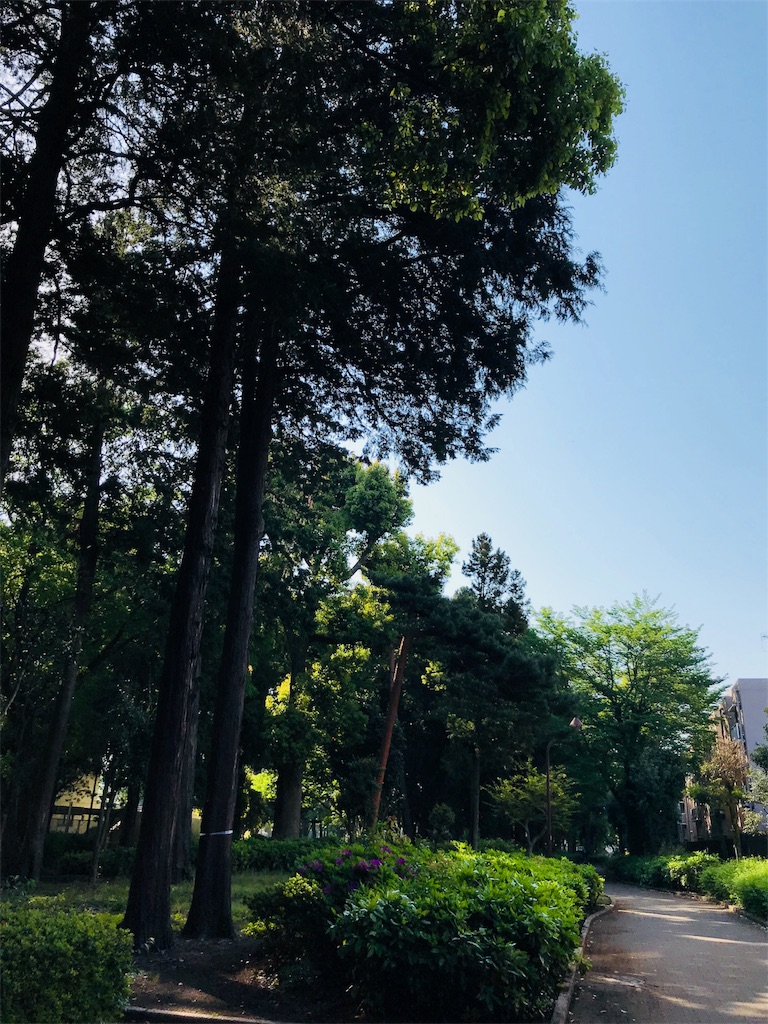 f:id:natsuming322:20180423102120j:image f:id:natsuming322:20180423102120j:image
