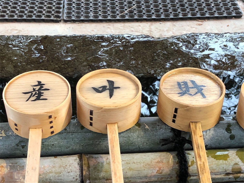 f:id:natsuminooheya:20190316230734j:image f:id:natsuminooheya:20190316230734j:image