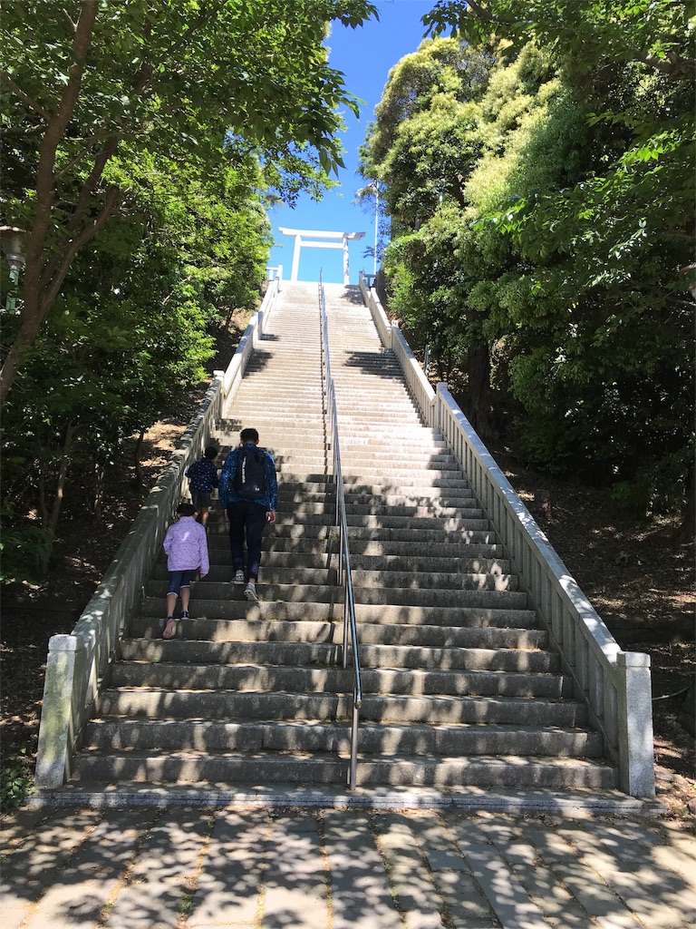 f:id:natsunikitashironeko:20180524155755j:image f:id:natsunikitashironeko:20180524155755j:image