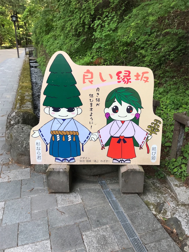f:id:natsunikitashironeko:20180531155506j:image f:id:natsunikitashironeko:20180531155506j:image