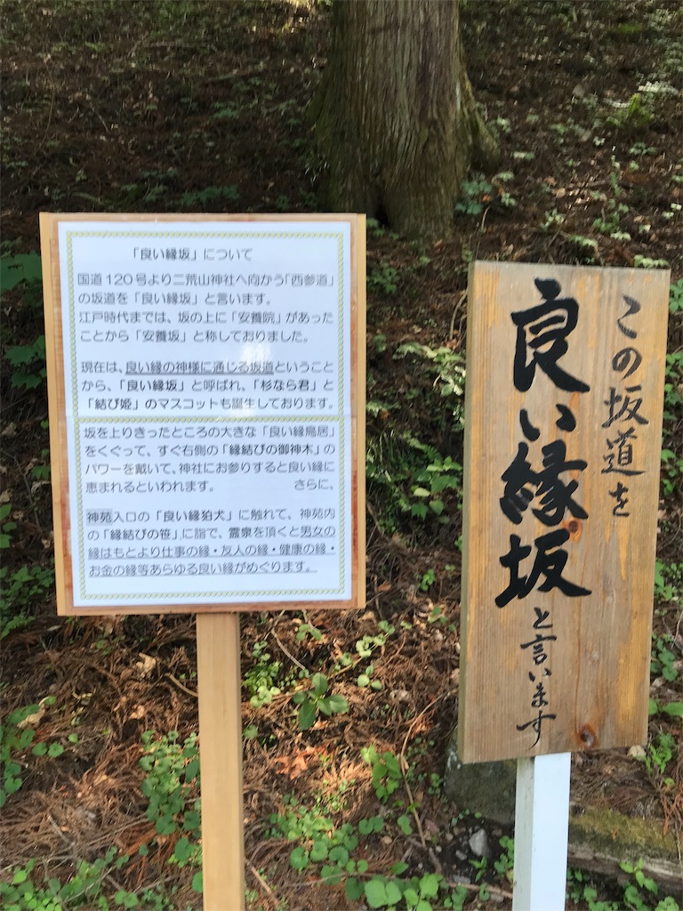 f:id:natsunikitashironeko:20180531155511j:image f:id:natsunikitashironeko:20180531155511j:image