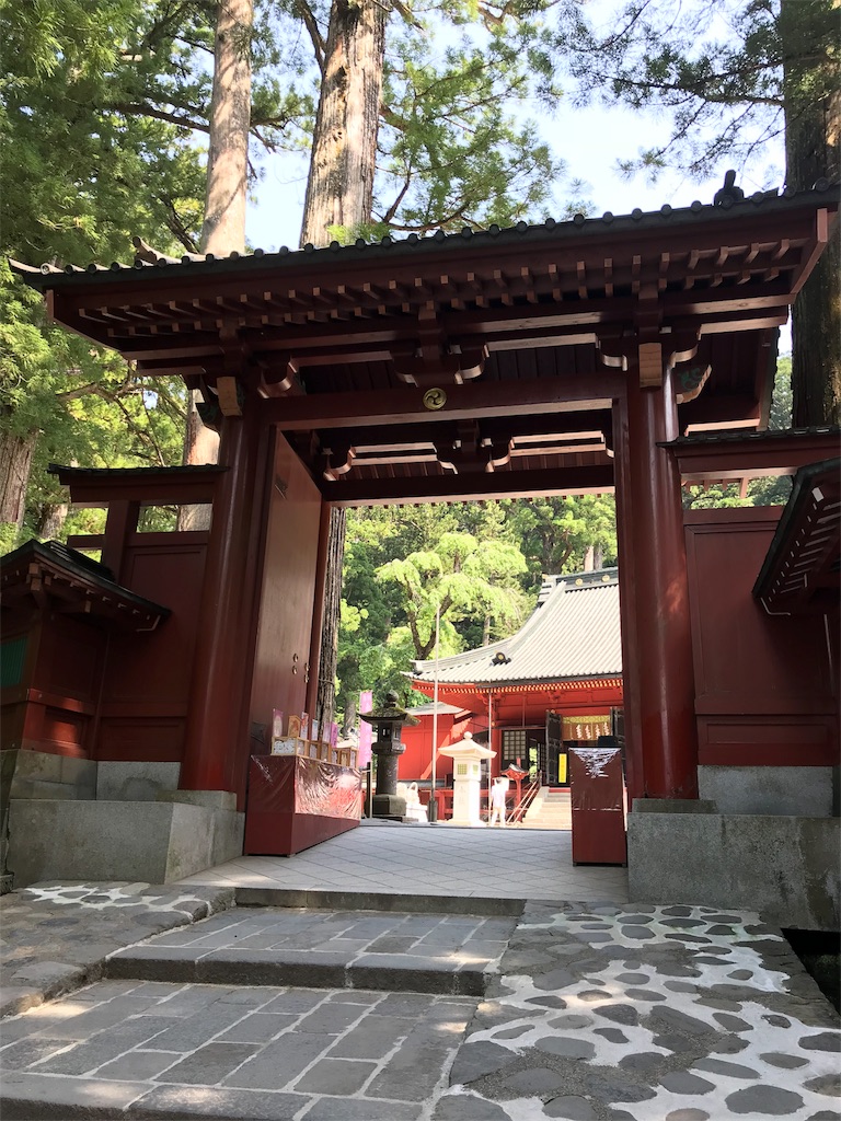 f:id:natsunikitashironeko:20180531155743j:image f:id:natsunikitashironeko:20180531155743j:image
