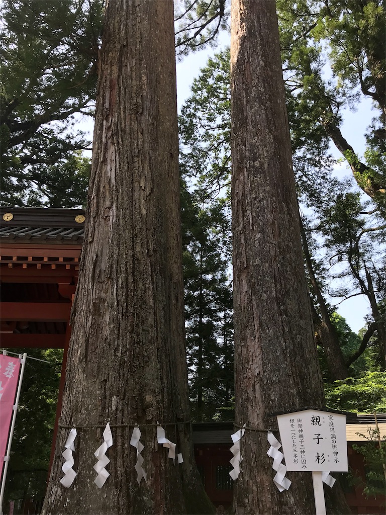 f:id:natsunikitashironeko:20180531160133j:image f:id:natsunikitashironeko:20180531160133j:image
