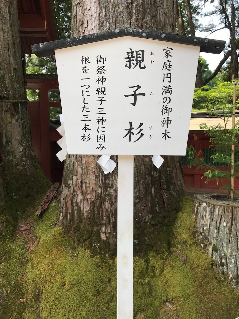 f:id:natsunikitashironeko:20180531160146j:image f:id:natsunikitashironeko:20180531160146j:image