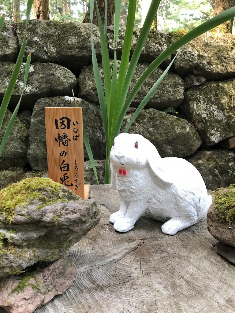 f:id:natsunikitashironeko:20180531161211j:image f:id:natsunikitashironeko:20180531161211j:image