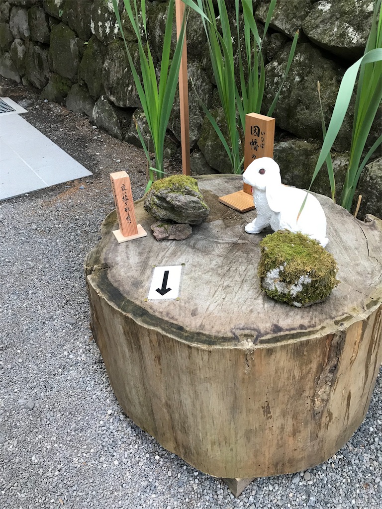 f:id:natsunikitashironeko:20180531161216j:image f:id:natsunikitashironeko:20180531161216j:image