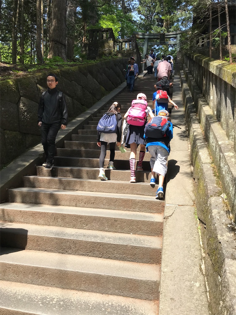 f:id:natsunikitashironeko:20180603145924j:image f:id:natsunikitashironeko:20180603145924j:image