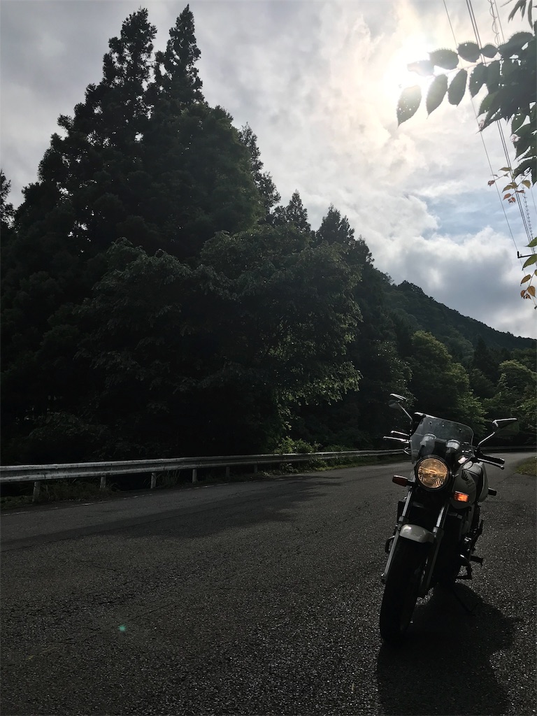 f:id:natsunikitashironeko:20180703171111j:image f:id:natsunikitashironeko:20180703171111j:image