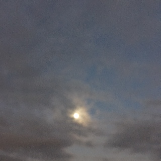 f:id:natsuno357:20161117074032j:plain f:id:natsuno357:20161117074032j:plain