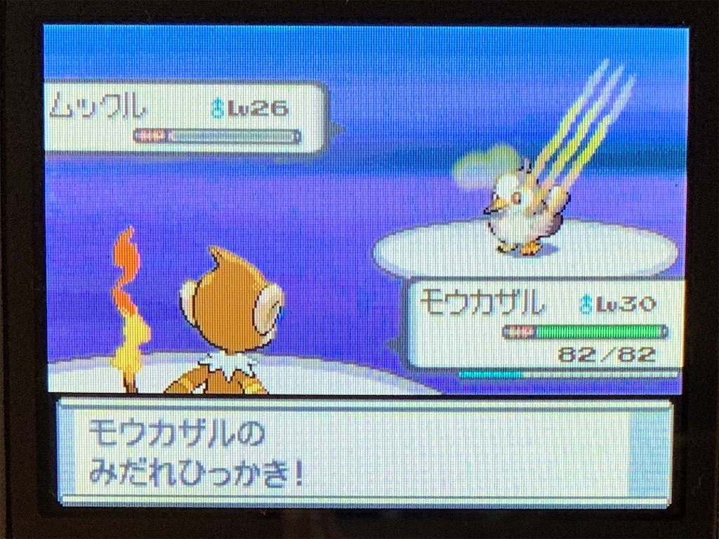 ポケットモンスター ダイヤモンド パール の思い出 夏の早朝