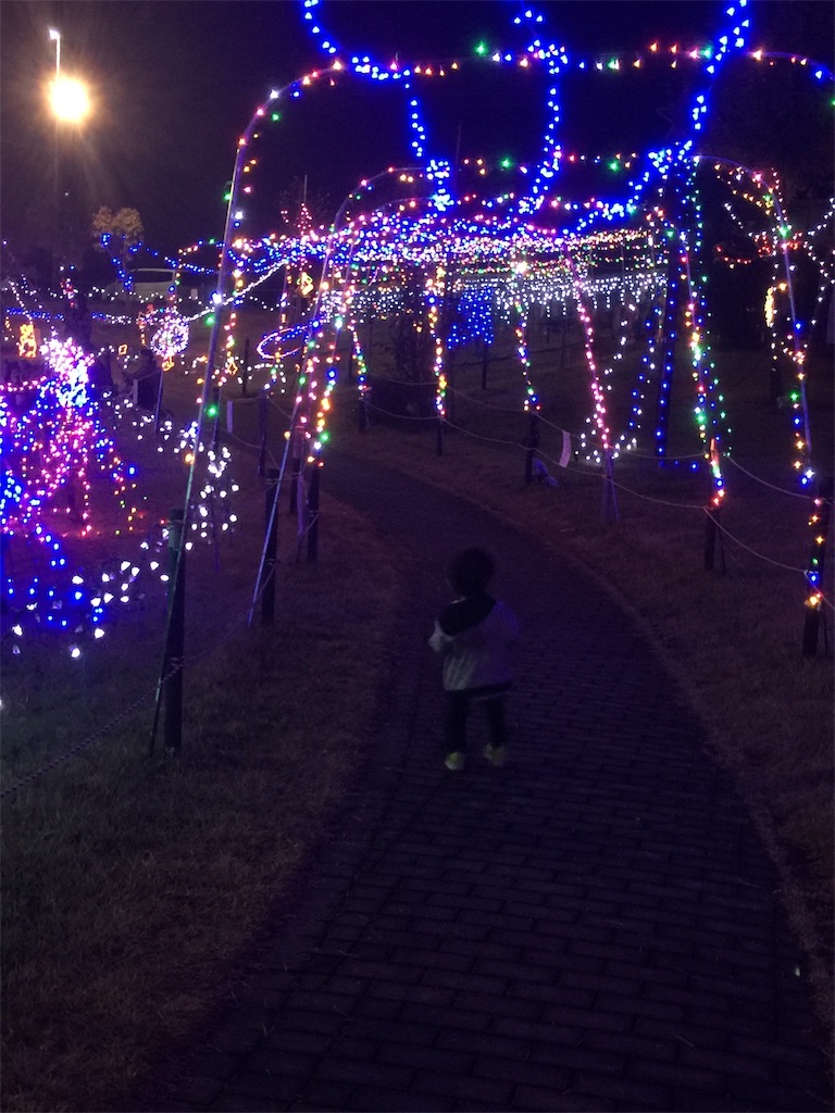 f:id:natsunooto:20191205190932j:image