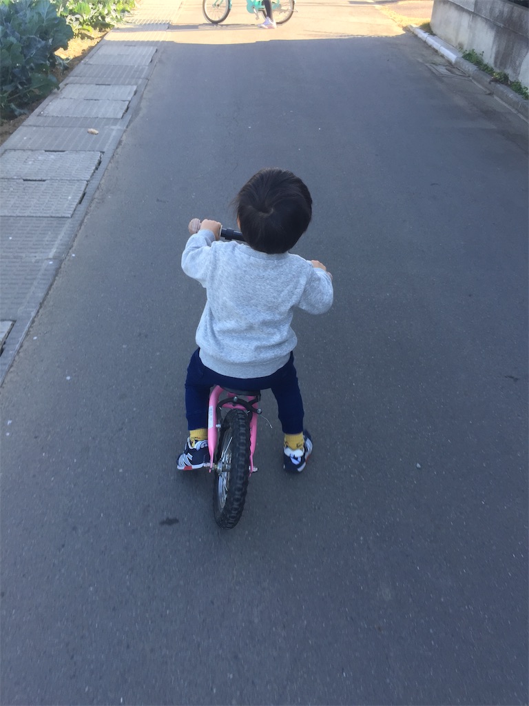f:id:natsunooto:20210327210339j:image f:id:natsunooto:20210327210339j:image