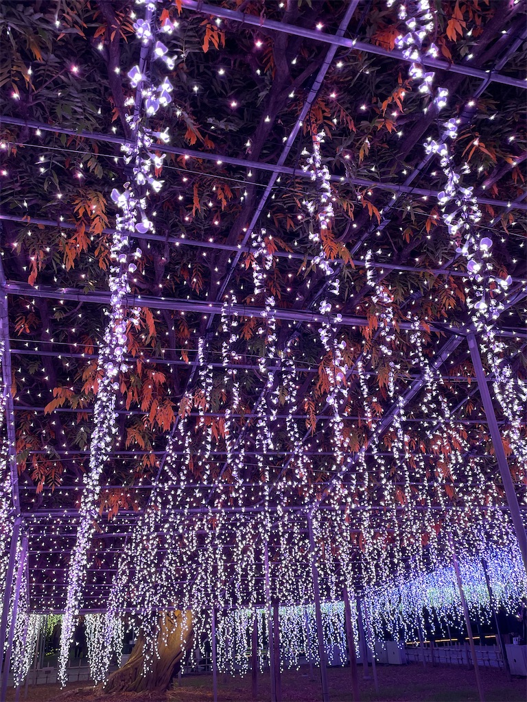 f:id:natsunooto:20220108000909j:image f:id:natsunooto:20220108000909j:image
