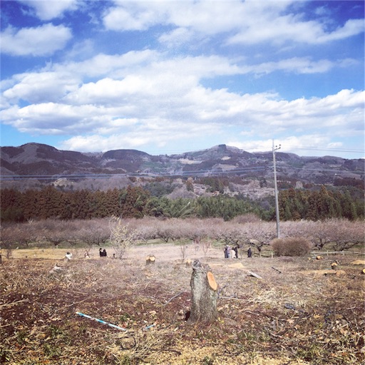 ここ↓も梅園の中 梅園の中