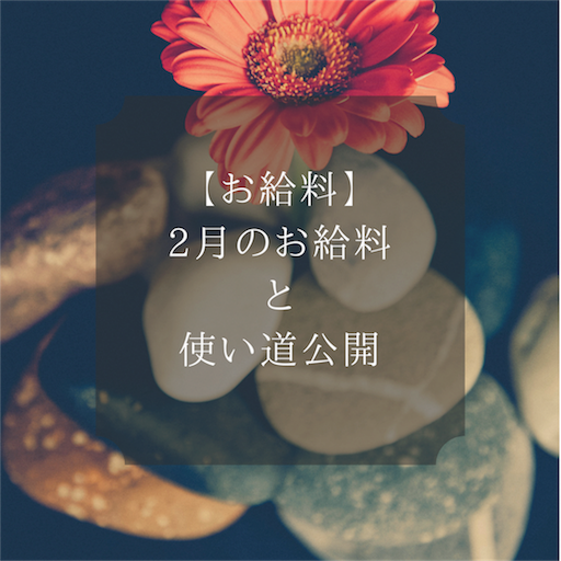 2018年2月のお給料と手取り f:id:natsupocha:20180224122639p:image