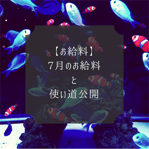 2018年7月お給料と使い道公開! f:id:natsupocha:20180728094420p:plain