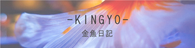 KINGYO3