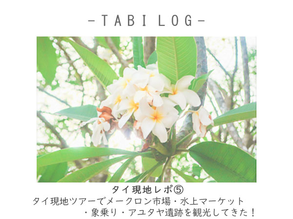 f:id:natsupocha:20190516223113j:plain f:id:natsupocha:20190516223113j:plain